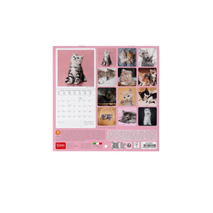 Legami - Kittens 2027 Wall Takvim - 18 x 18 cm