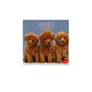 Legami - Puppies 2027 Wall Takvim - 18 x 18 cm