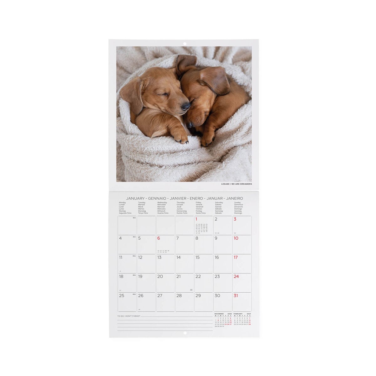 Legami - Puppies 2027 Wall Takvim - 18 x 18 cm