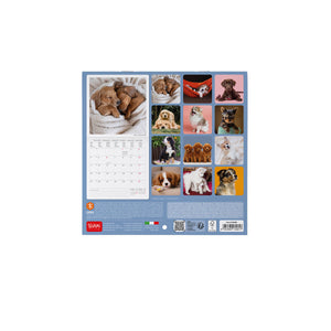 Legami - Puppies 2027 Wall Takvim - 18 x 18 cm