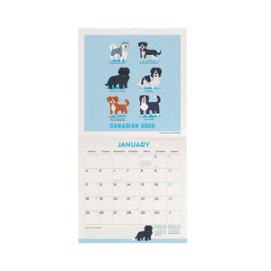 Legami - Dogs World 2027 Wall Takvim - 18 x 18 cm