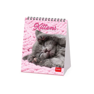 Legami - Kittens 2027 Desk Takvim - 12 x 14,5 cm