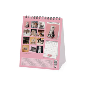 Legami - Kittens 2027 Desk Takvim - 12 x 14,5 cm