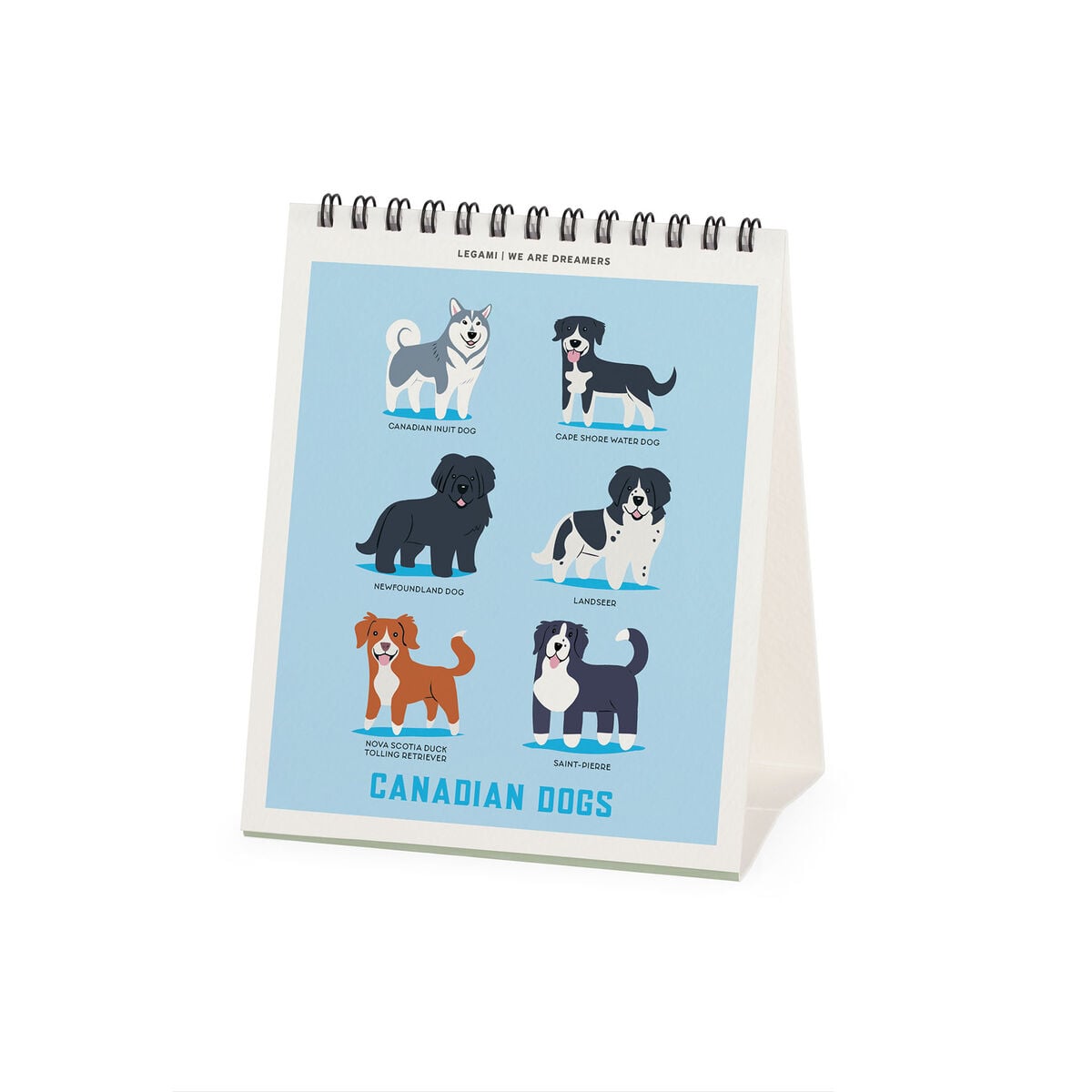 Legami - Dogs World 2027 Desk Takvim - 12 x 14,5 cm