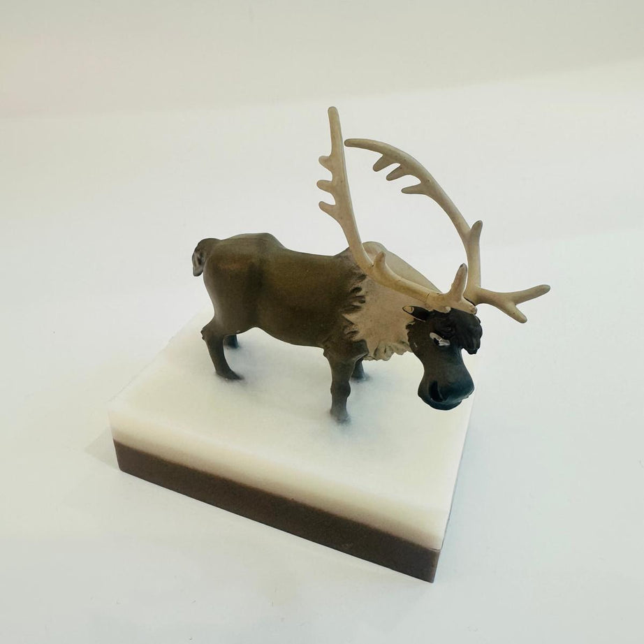 Baveal – Kinder Waldabenteuer Feuchtigkeitsspendende Hand- und Körpersalbe