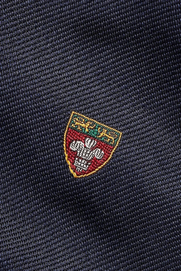 Polo Ralph Lauren İpek Kravat