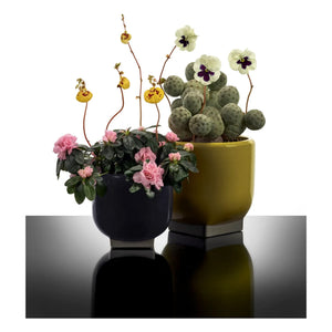 Serax - Cache-pot 03, Kris van assche | Mor