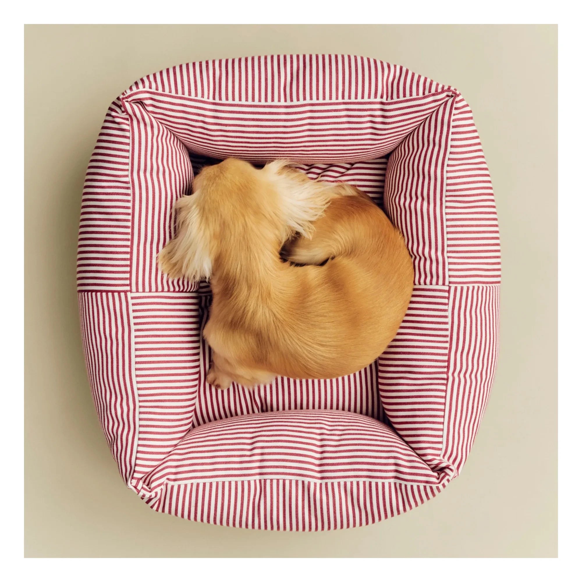 Hay - Gestreiftes Hundebett | Rot