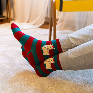 Legami - Weihnachtsstrümpfe Llama Größe 41-47 - Perfekte Passform!
