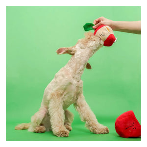The Furry Folks - Apfel-Kratzspielzeug | Rot