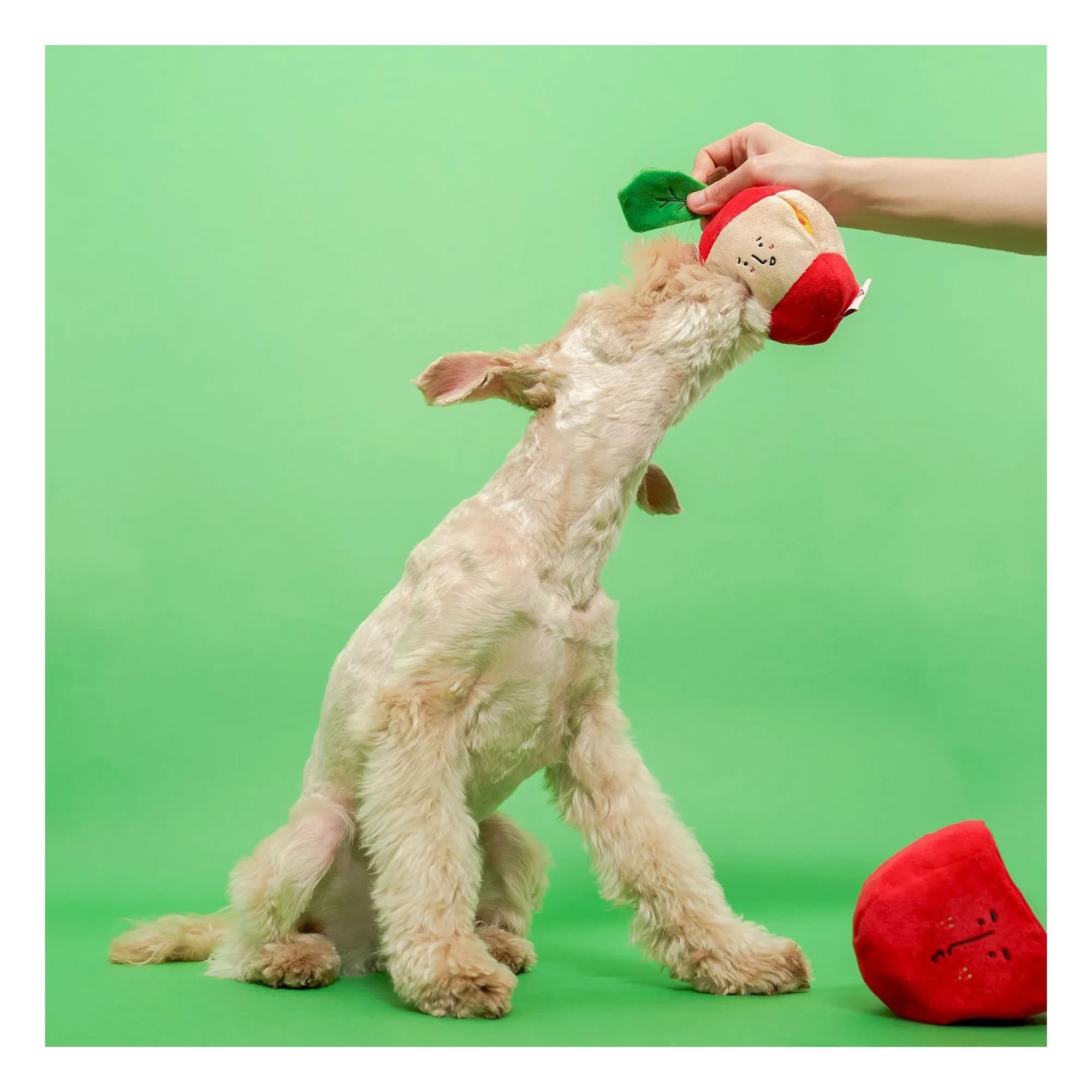 The Furry Folks - Apfel-Kratzspielzeug | Rot