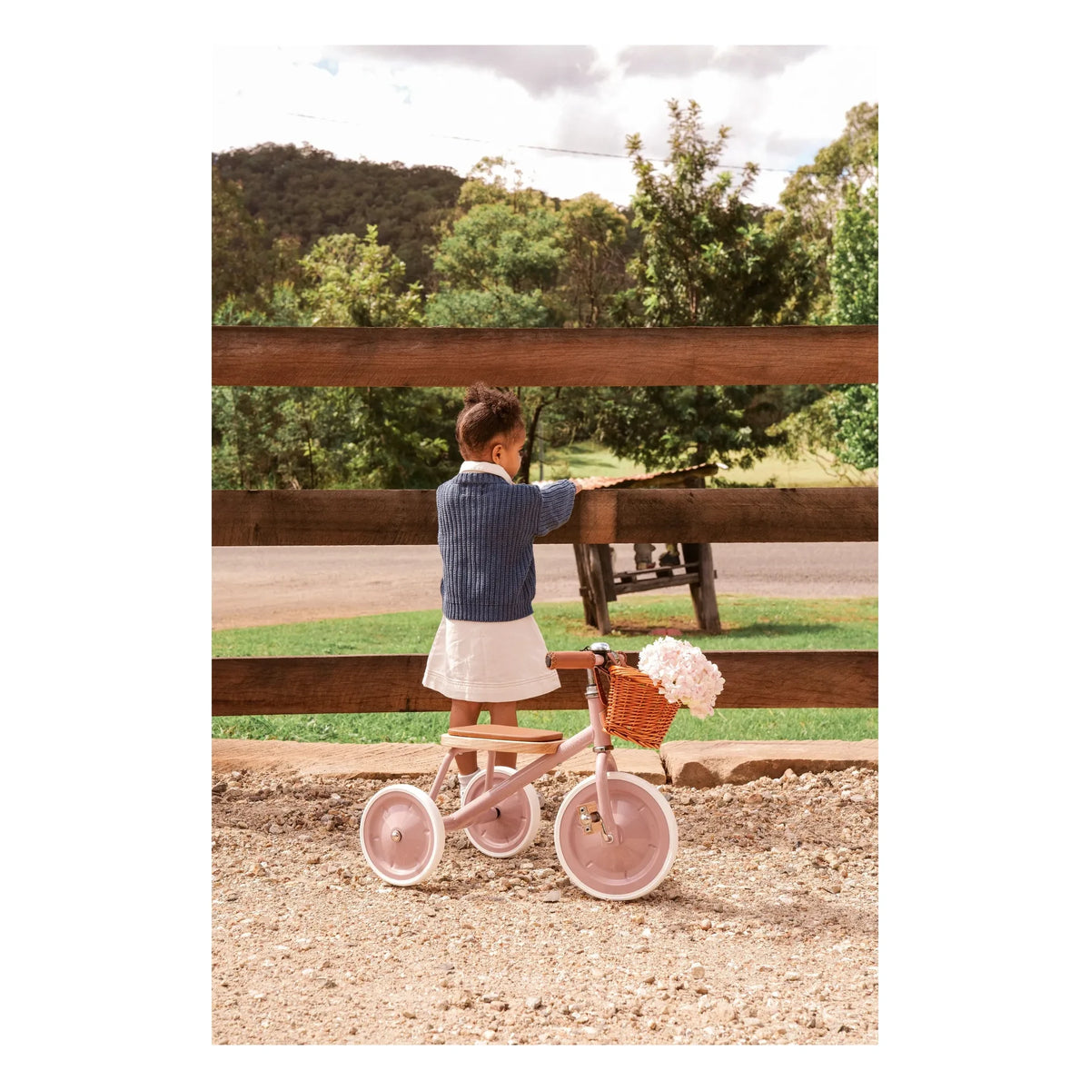 Banwood - Dreirad aus Metall und Holz | Dusty Pink