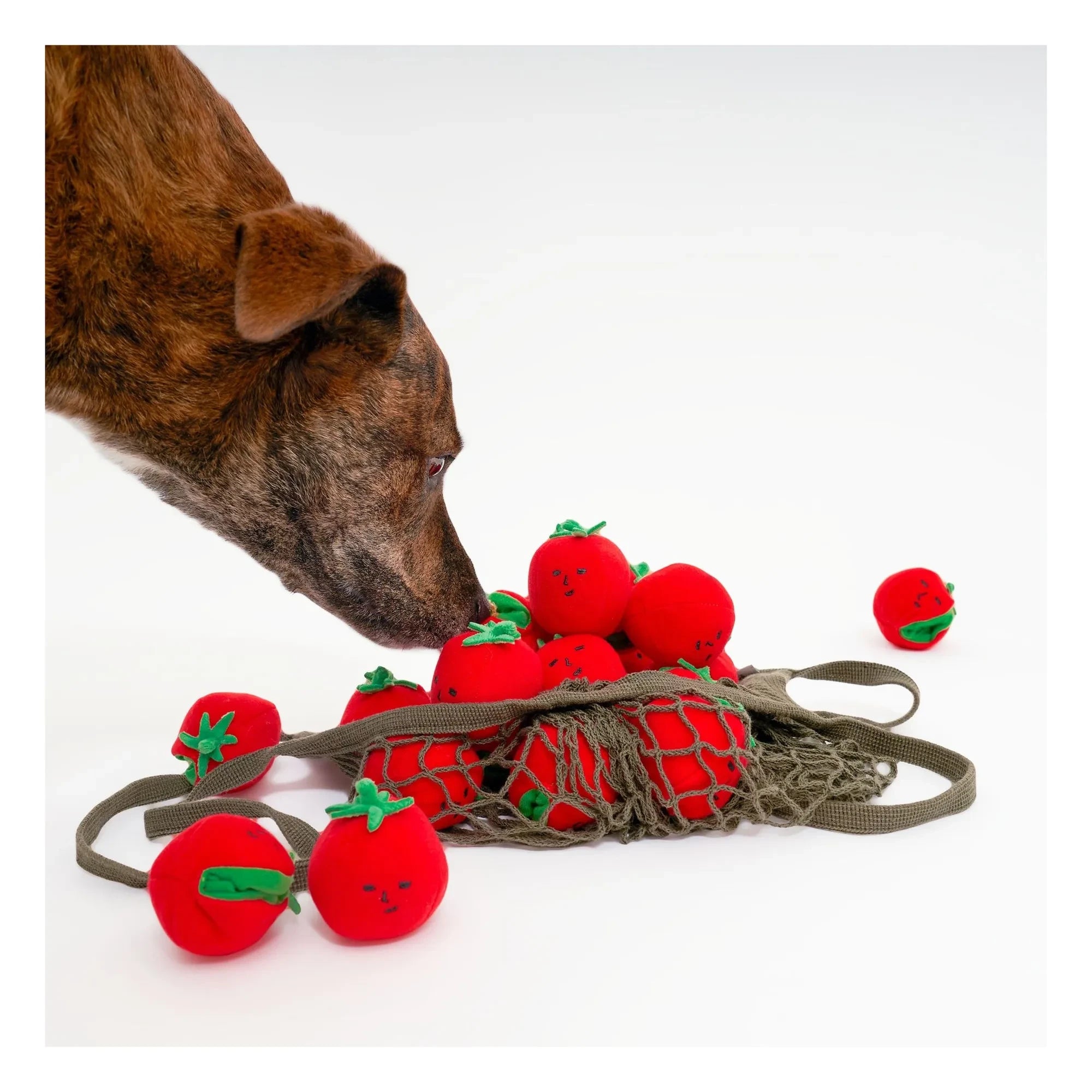 The Furry Folks - Kirschtomate Kratzspielzeug | Tomatenrot
