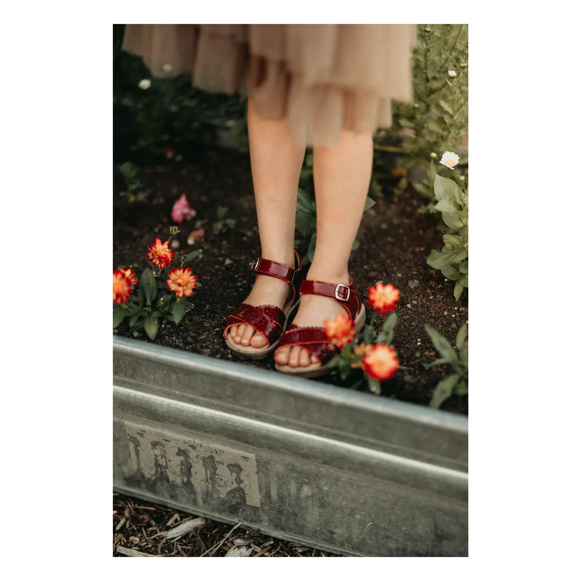 Petit Nord - Scallop Flower Sandalen | Kirschrot