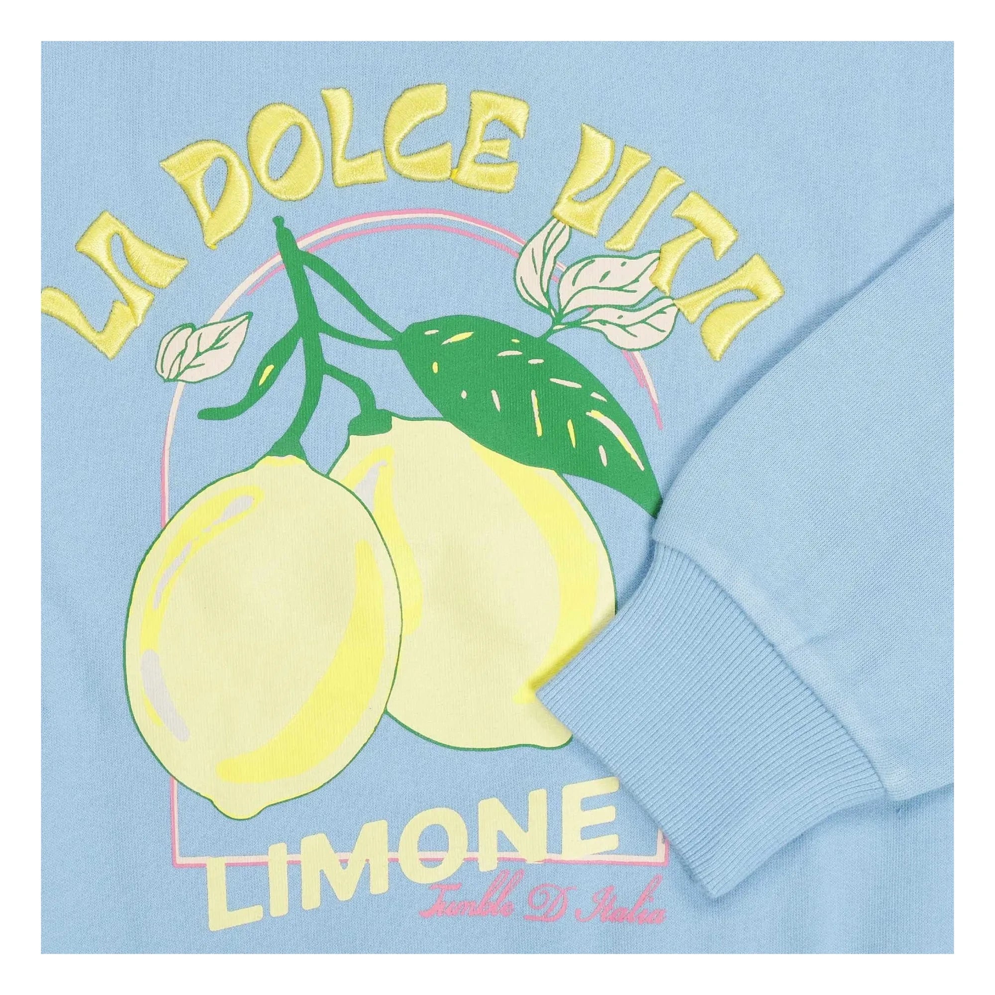 Tumble N'Dry - Oversize-Sweatshirt Vital Citrons Bio-Baumwolle | Hellblau