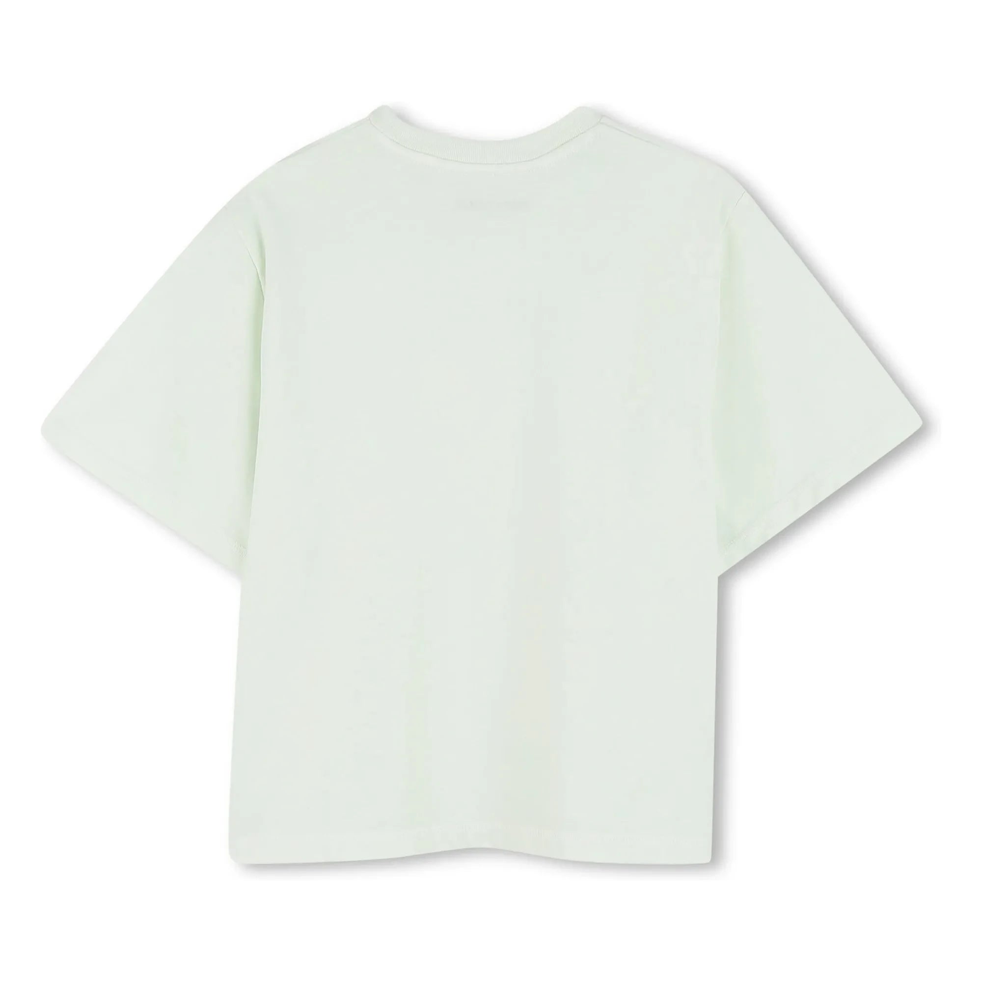 Zadig & Voltaire - T-Shirt mit verblasstem Logo „Die Kunst ist die Wahrheit“ | Blassgrün