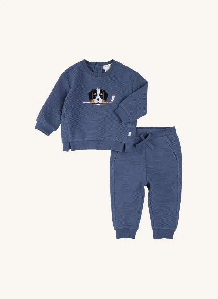 Petit Lem - Organisches Baumwoll-Hund-Sweatshirt- und Jogger-Set | Blau