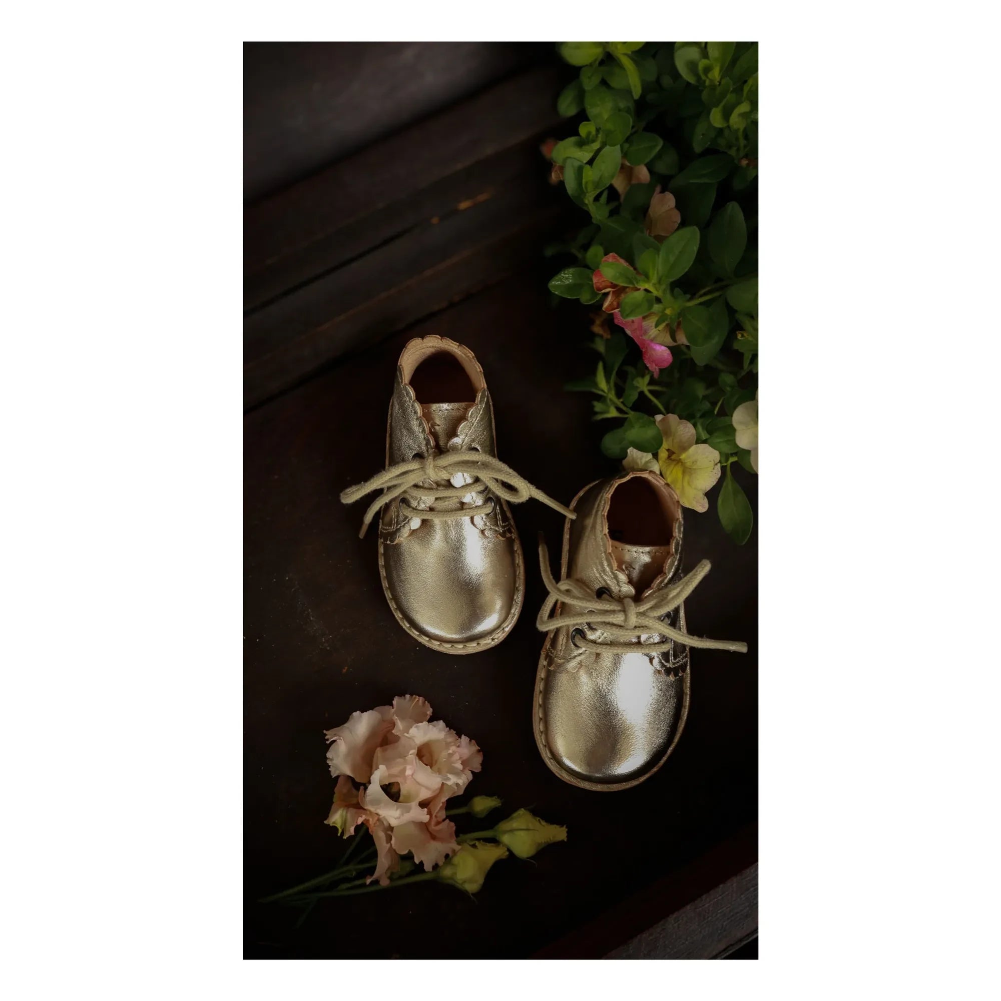 Petit Nord - Muschel Spitzenstiefel | Silber