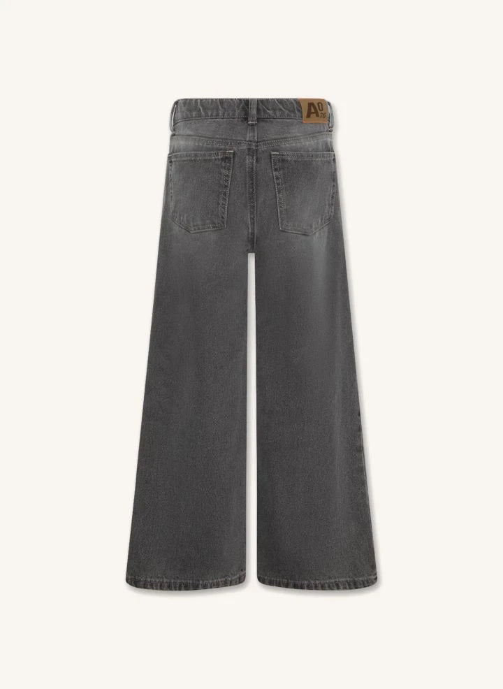 AO76 - Jean Zina Blake | Denim grau
