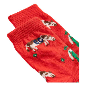 Bobo Choses - Bauernhof-Socken aus Bio-Baumwolle | Rot