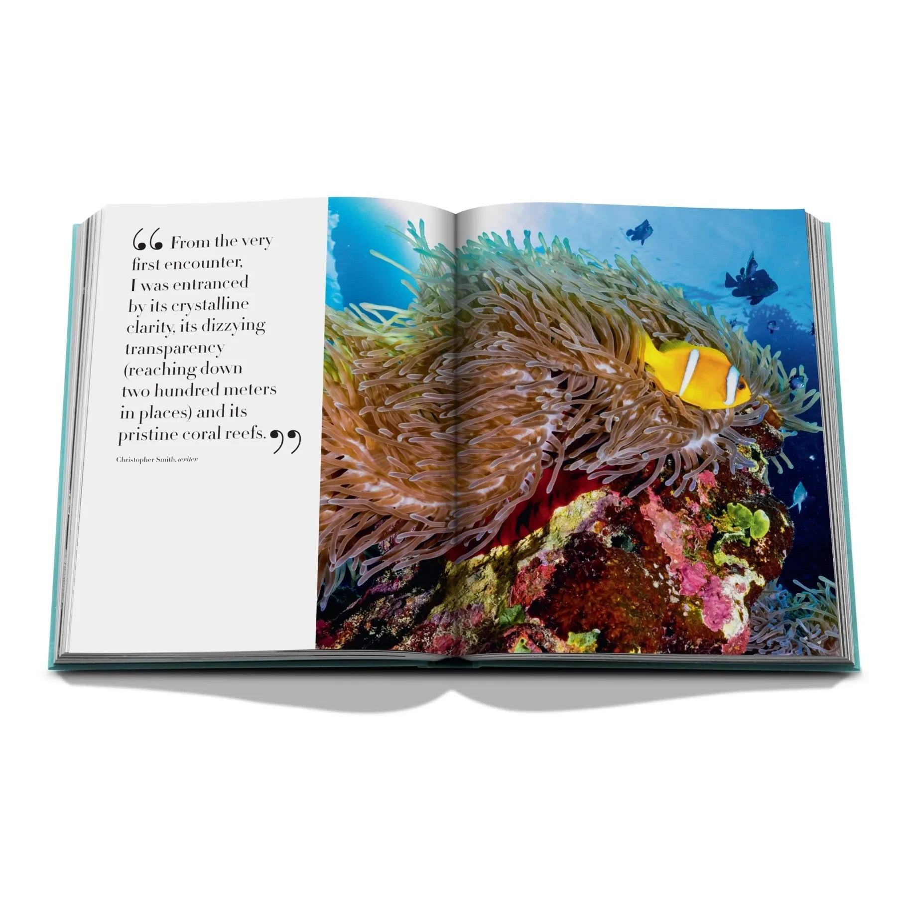 Assouline - Kızıldeniz: Suudi Sahili
