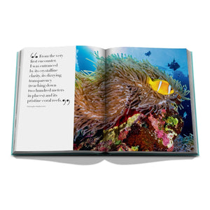 Assouline - Kızıldeniz: Suudi Sahili