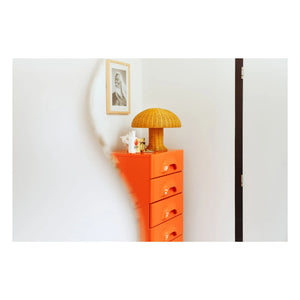 HKliving - Rattan Tischlampe | Senf