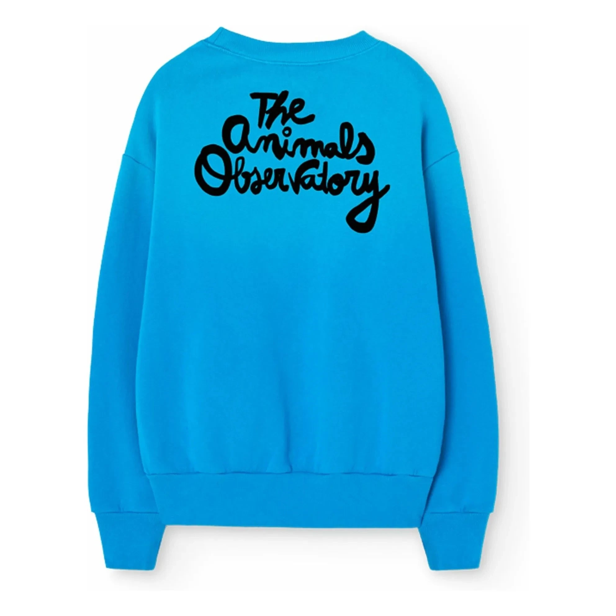 The Animals Observatory - Sweat Bear Anchor | Azurblau