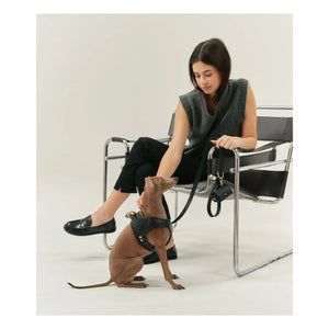 Cafide - Veganes Leder Hundehalsband | Schwarz