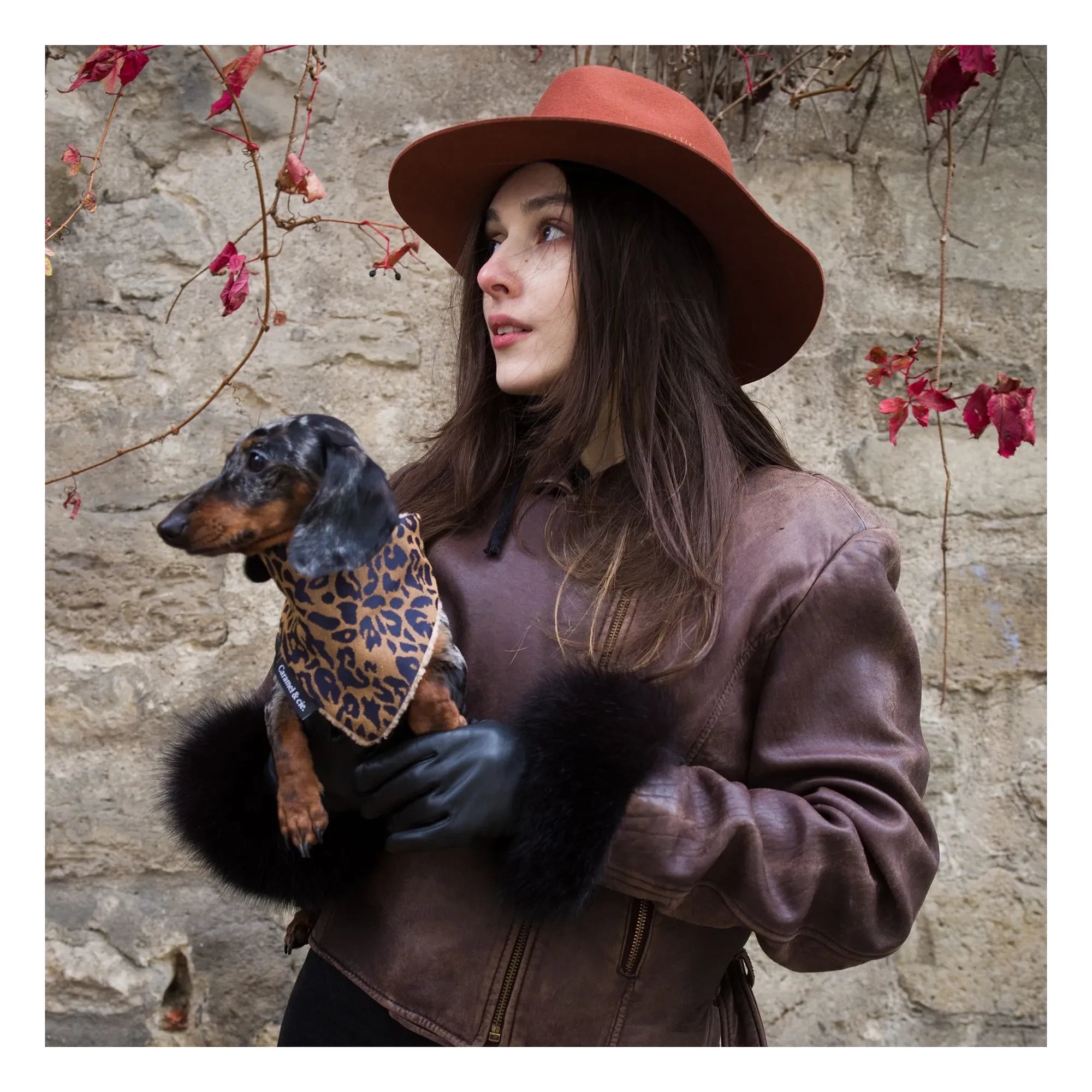 Caramel & Cie – Leopardenhundehalstuch | Braun