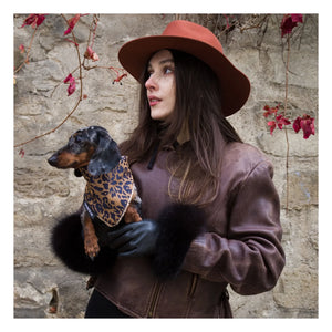 Caramel & Cie – Leopardenhundehalstuch | Braun