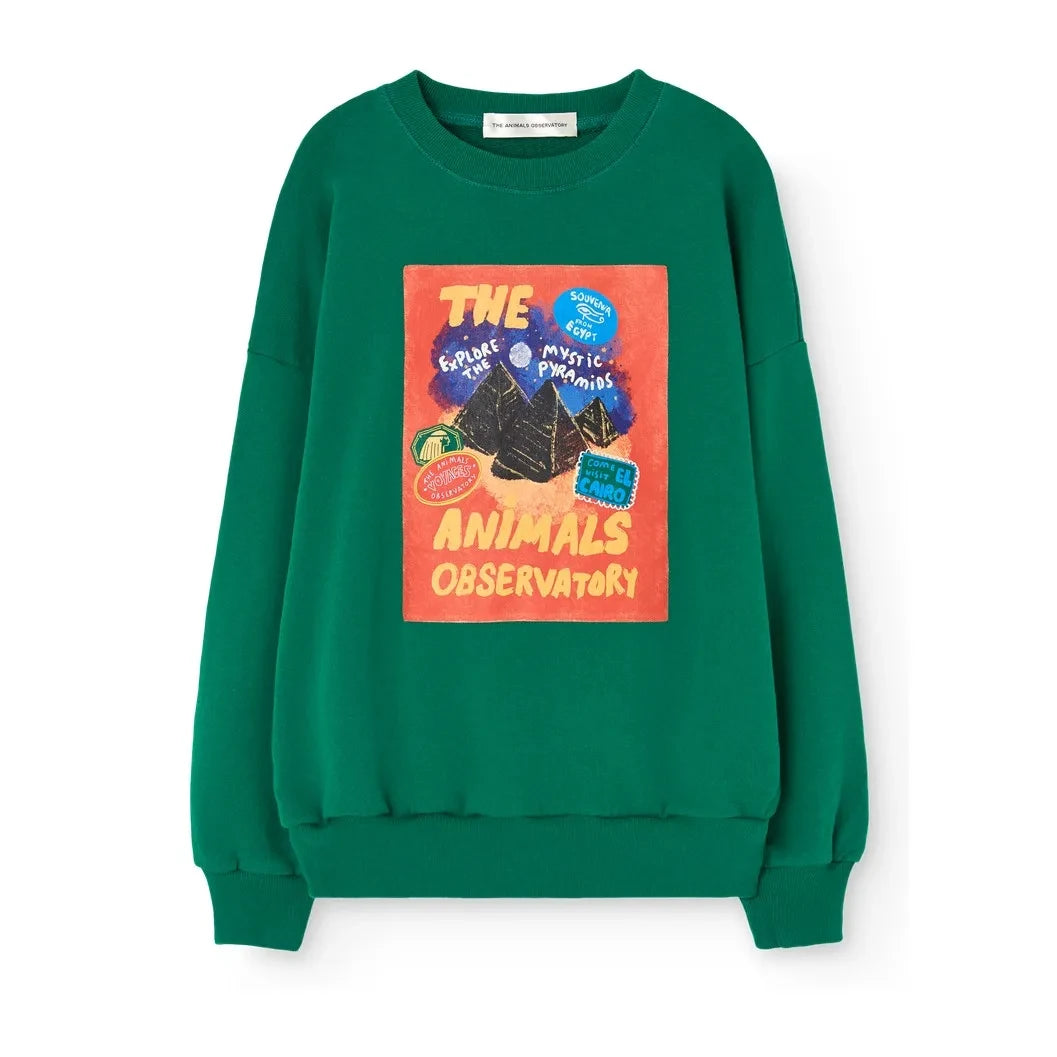 The Animals Observatory - Killifish Sweatshirt | Grün