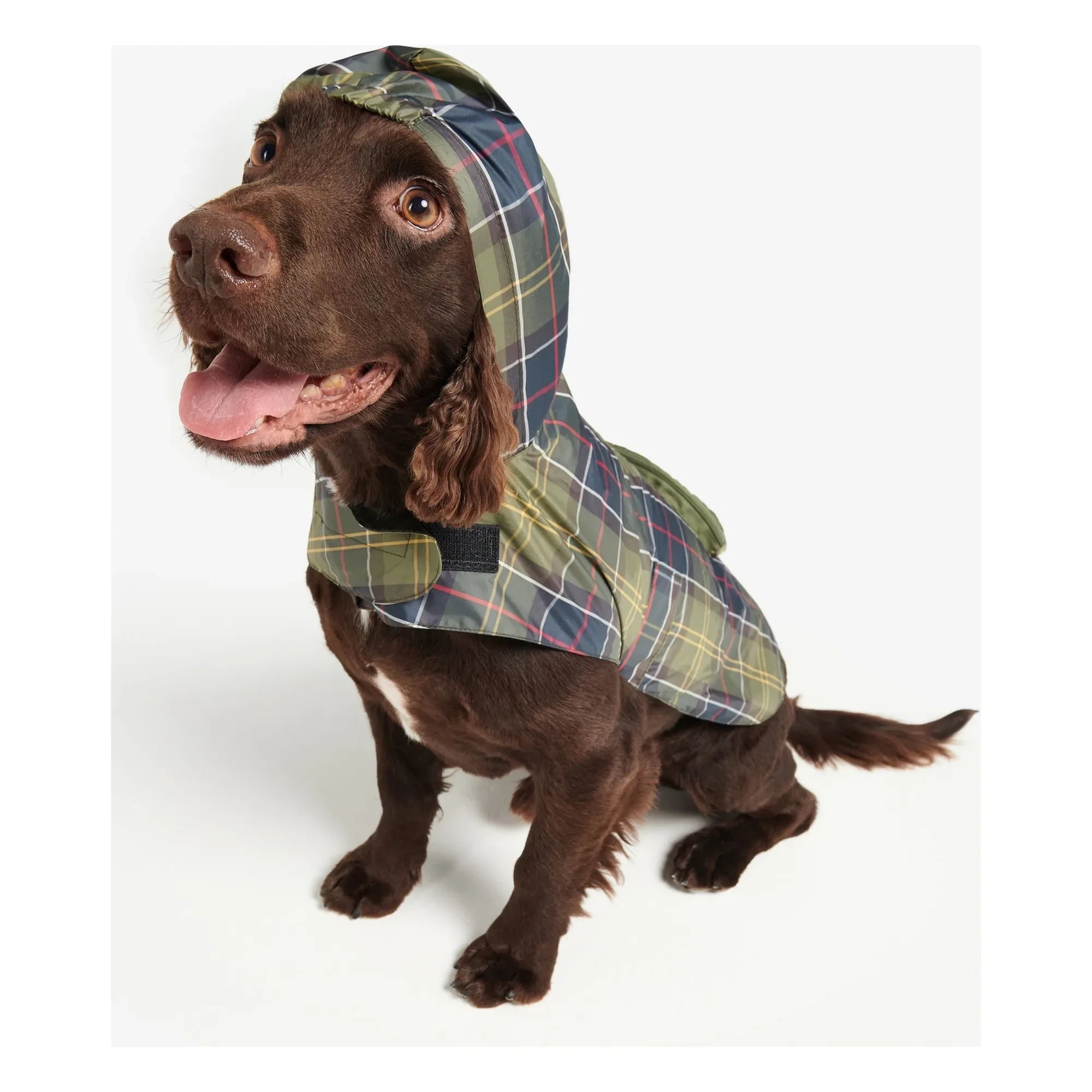 Barbour - Faltbarer Tartan-Mantel für Hunde | Blau
