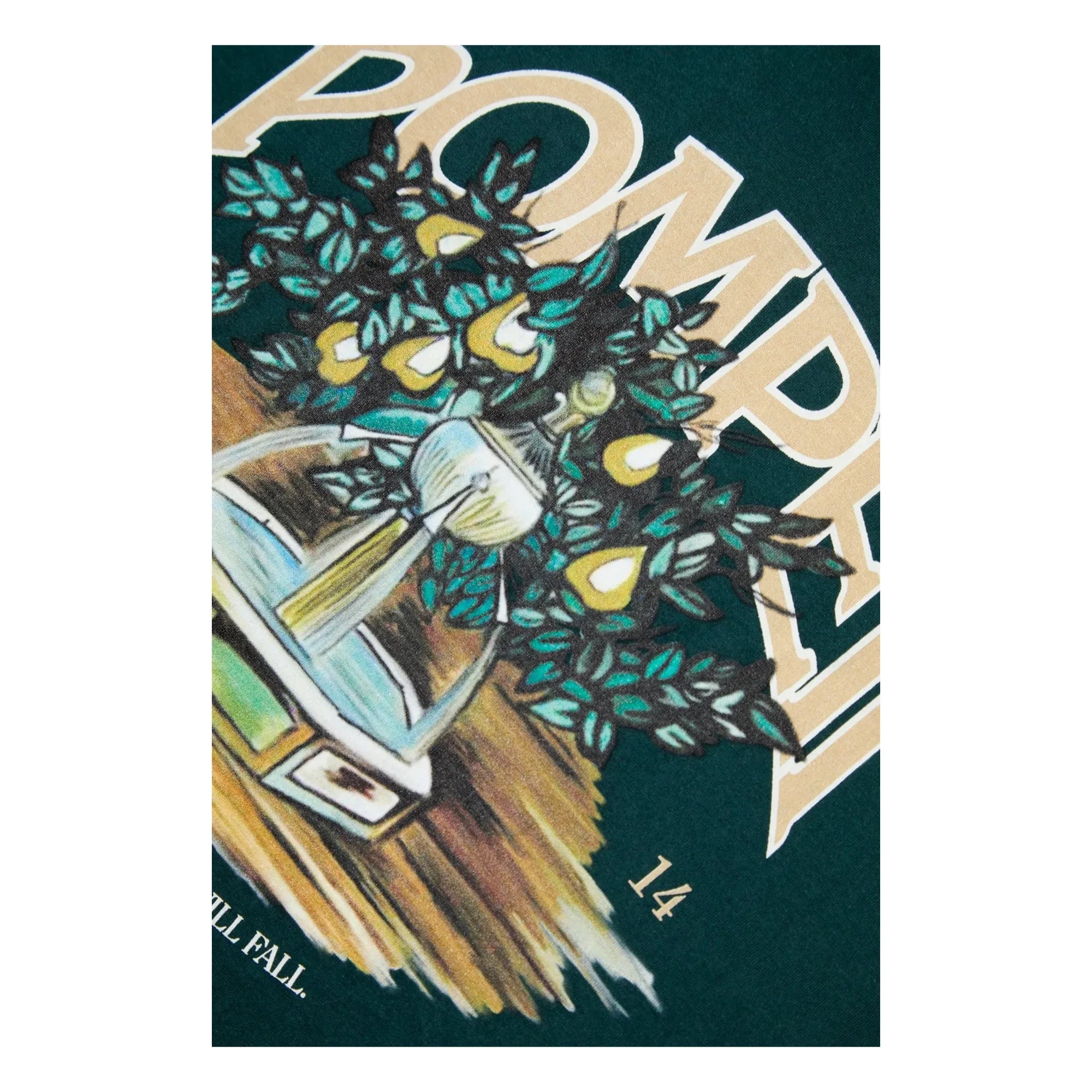Pompeii - Regular Grafik T-Shirt | Kiefer