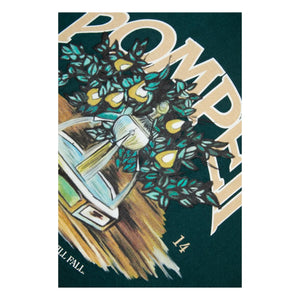Pompeii - Regular Grafik T-Shirt | Kiefer