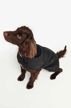 Barbour Köpek Montu