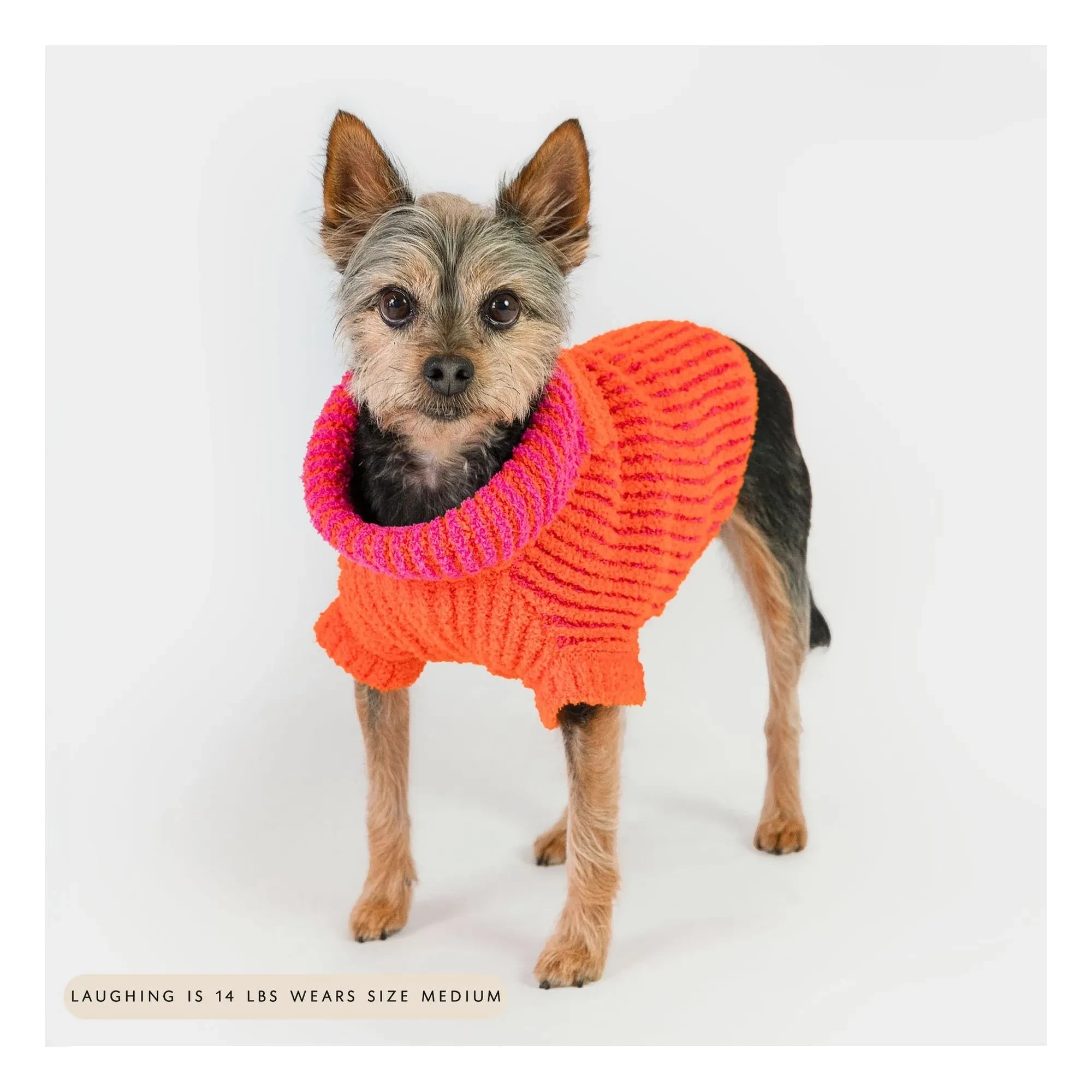 The Furry Folks - Pull Rib | Orange