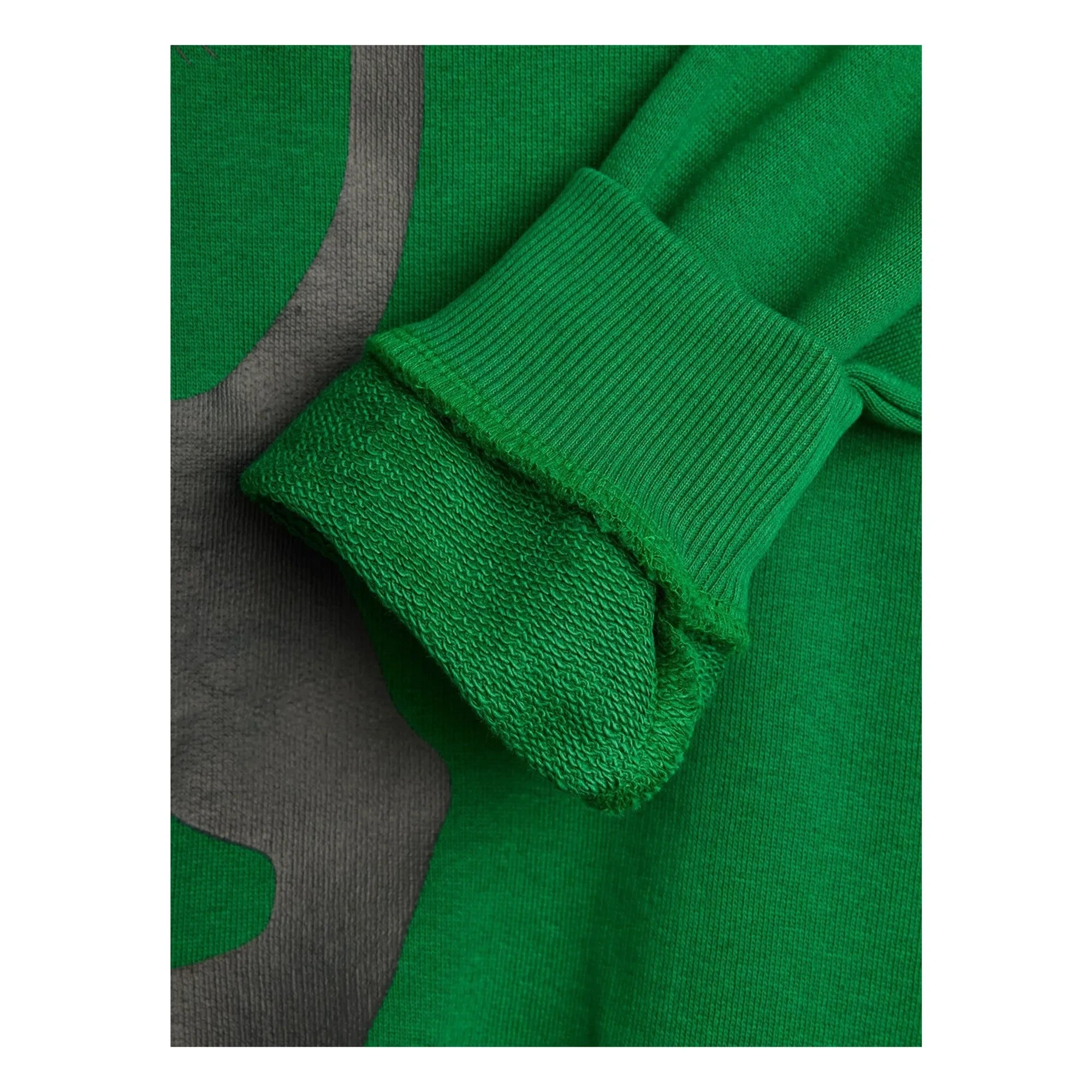 Mini Rodini - Sweatshirt aus Bio-Baumwolle mit Panthermuster | Grün