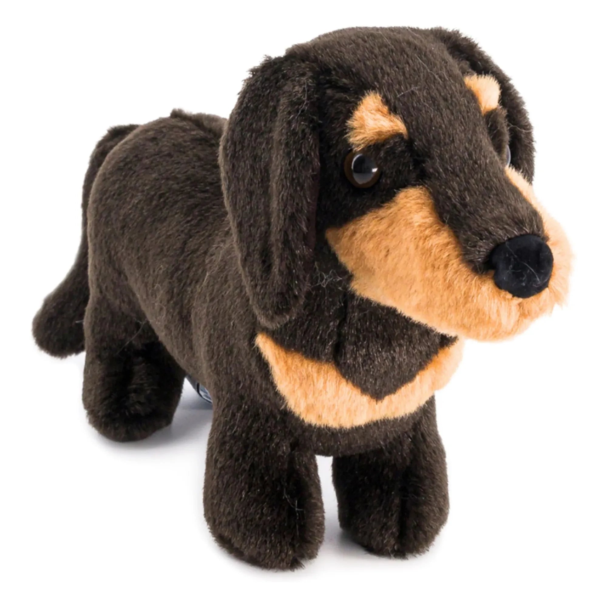 La Pelucherie - Plüschtier Dackel Eugène 25 cm | Schwarz