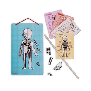 Janod - Magnetisches Anatomie-Puzzle