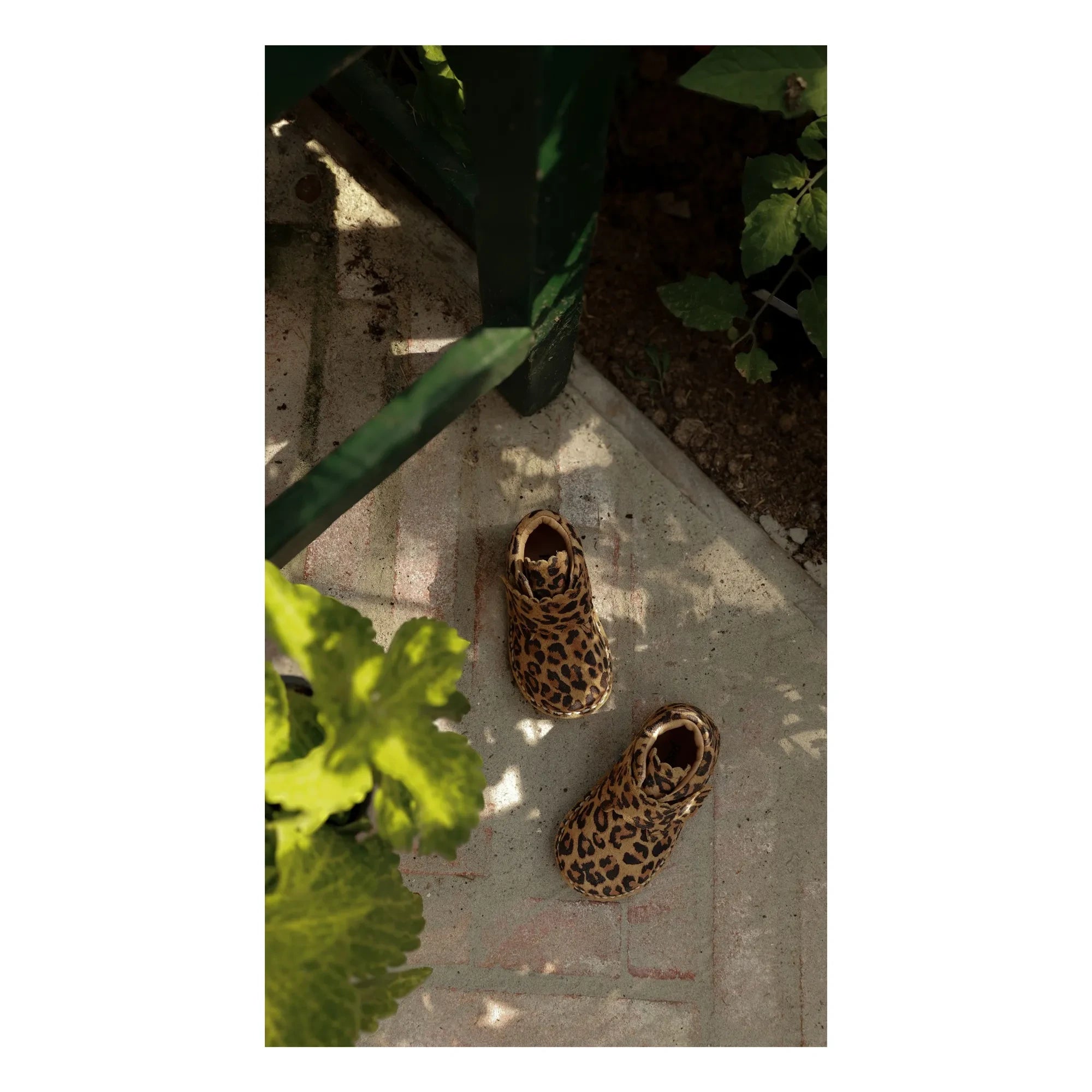 Petit Nord - Scallop Leopar Spor Botlar | Kahverengi