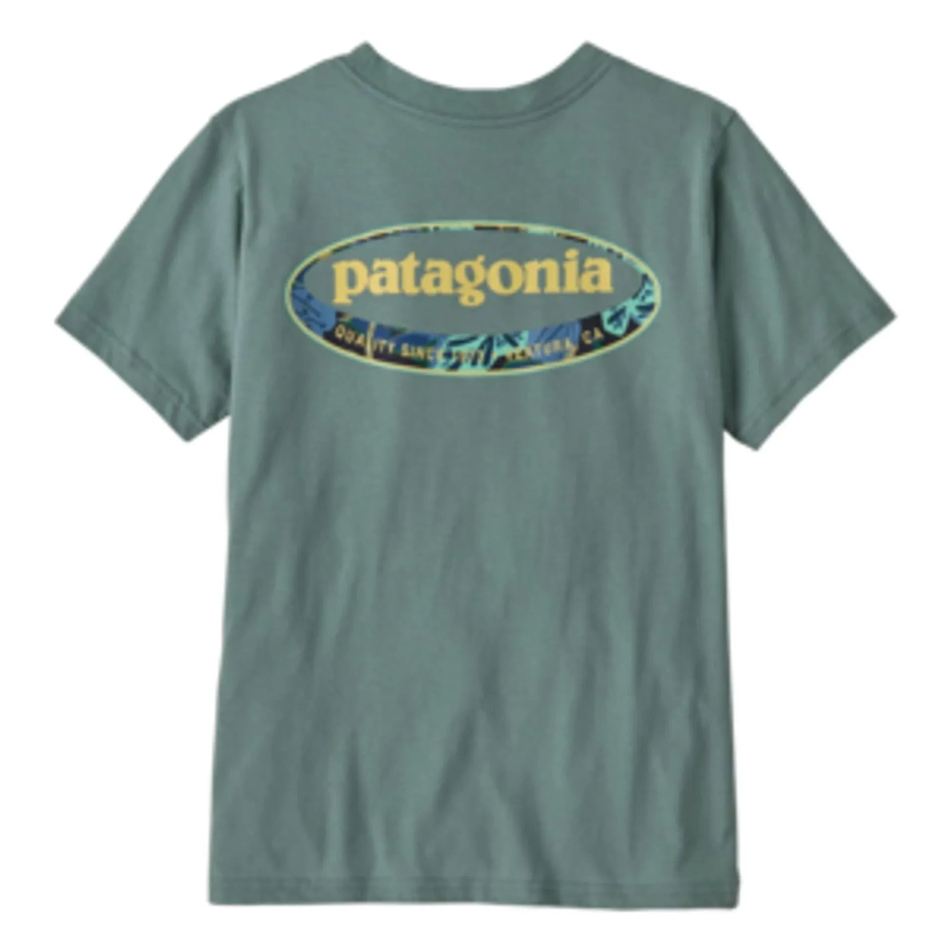Patagonia - T-Shirt Grafik 95 Oval Logo Bio-Baumwolle | Grau blau