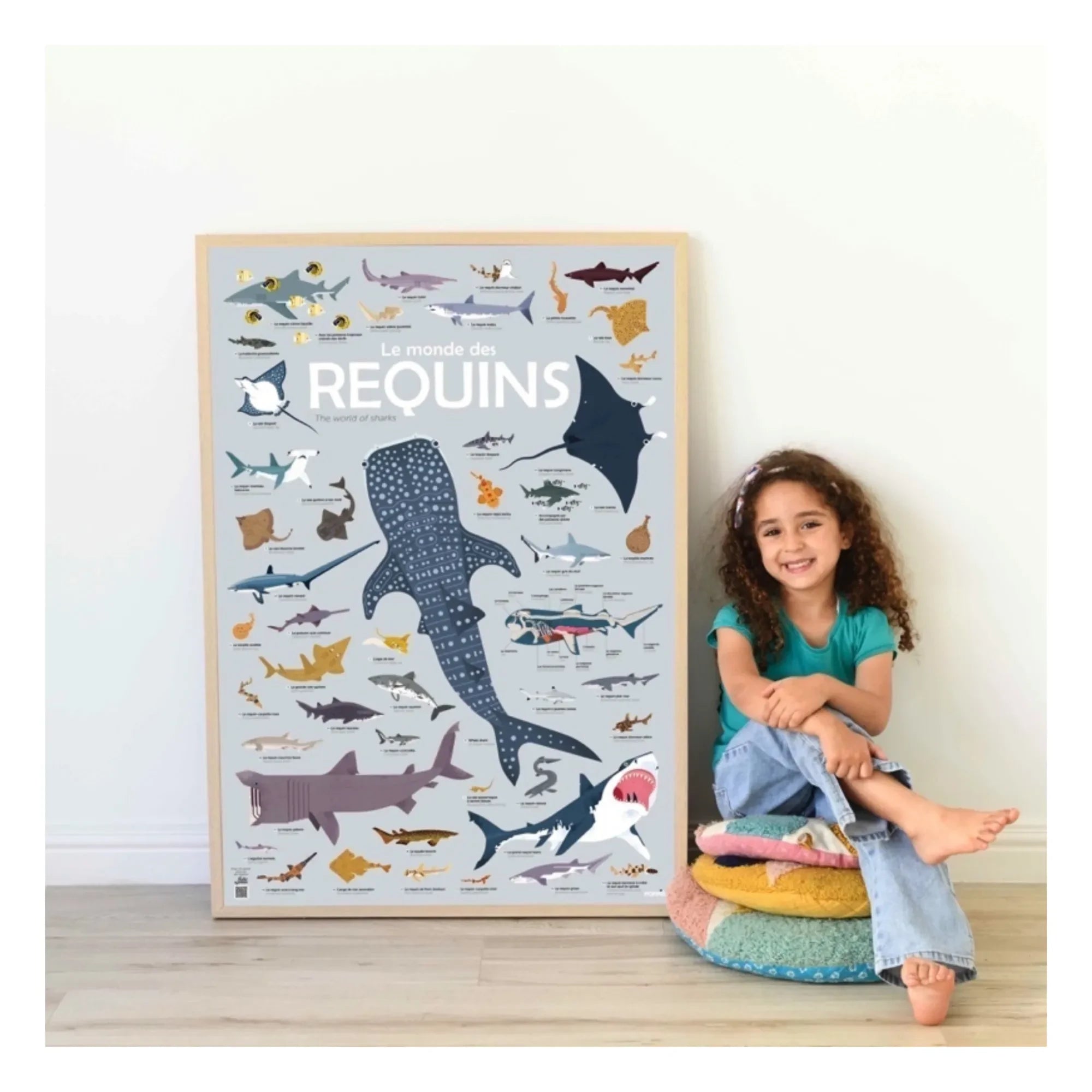 Poppik - Poster-Sticker Haie