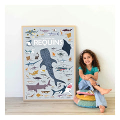 Poppik - Poster-Sticker Haie