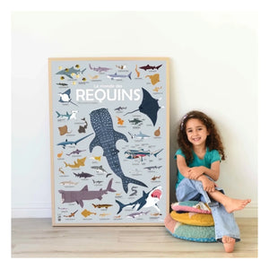 Poppik - Poster-Sticker Haie