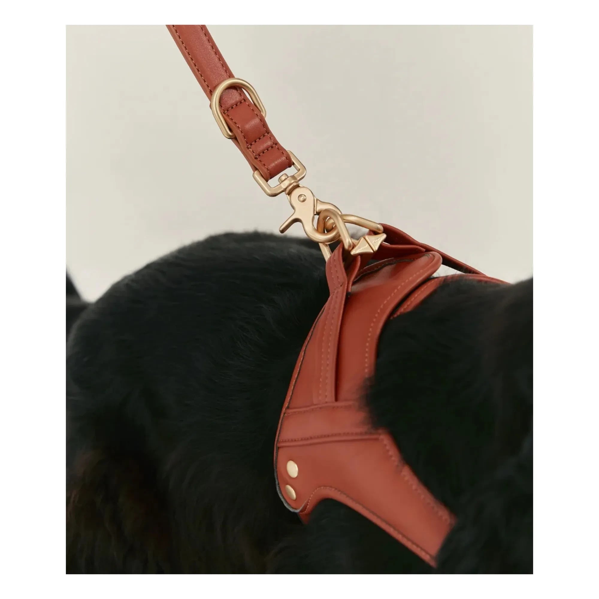 Cafide - Veganes Leder Hundehalsband | Braun