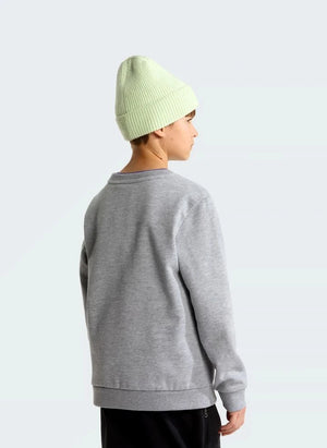 The North Face - Simple Done Sweatshirt | Grau meliert