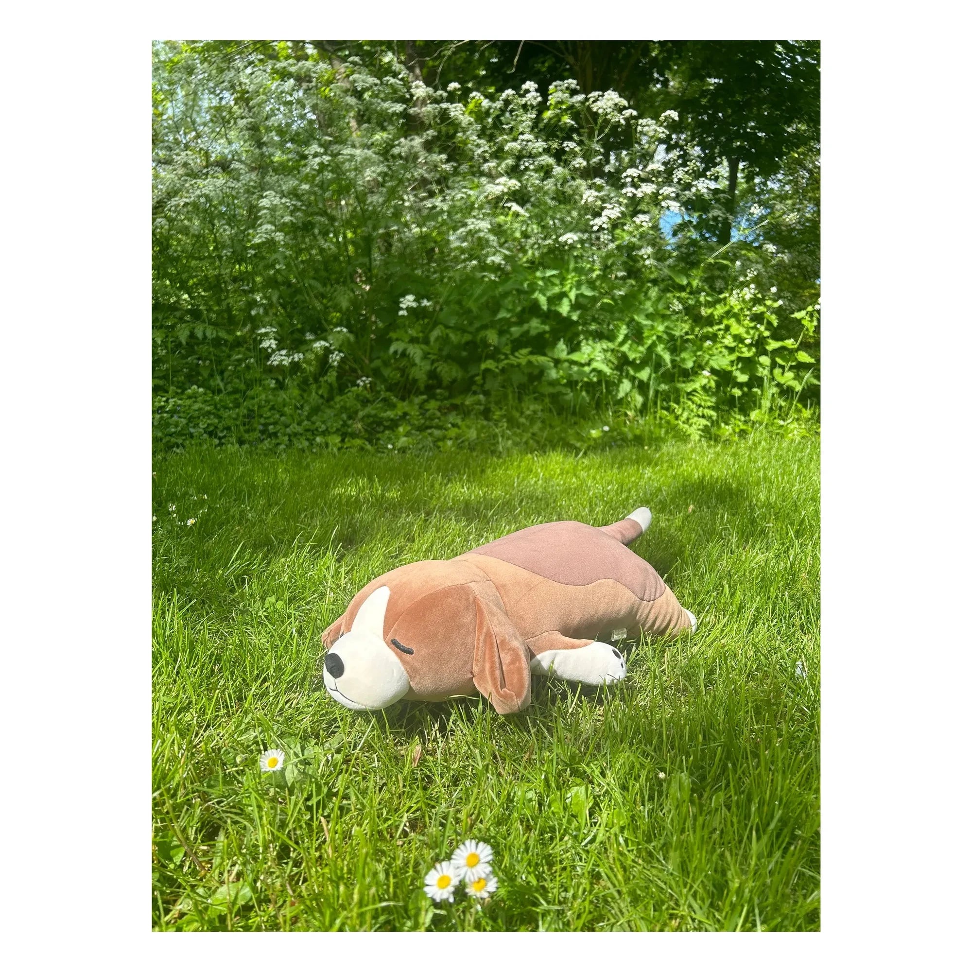 Nemu Nemu - Vick the Beagle Plüschhund | Braun