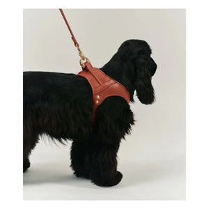 Cafide - Veganes Leder Hundegeschirr | Braun
