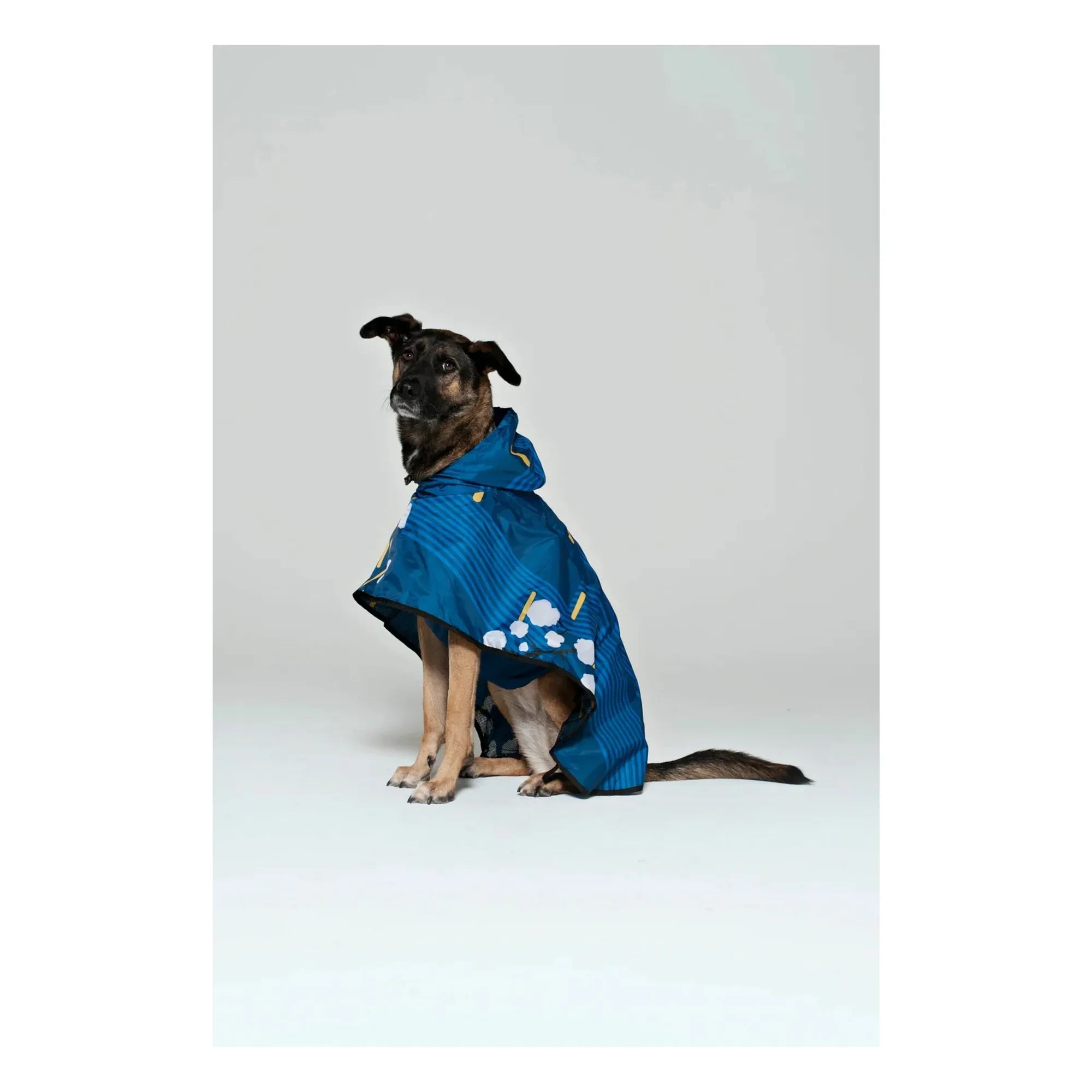 Rainkiss - Japanese Blossom Wasserdichter Hundemantel | Blau